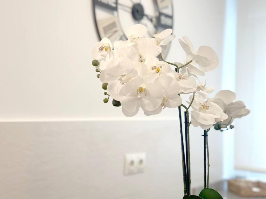 Apartamento Reformado En Santona Ngoại thất bức ảnh